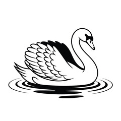 Elegant swan gracefully swimming on water, a serene bird illustration with detailed feather, isolated on