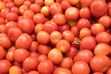 Pile of red tomatoes