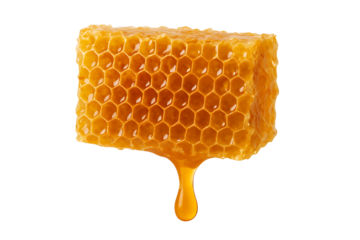 Sweet golden honeycomb dripping honey isolated on black background natural beekeeping product symbolizing nature health nectar sweetness organic food and delicious nutrition