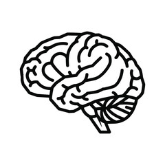 Stylized human brain outline vector illustration graphic design.
