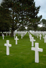 Naklejka premium cimetière Américain
