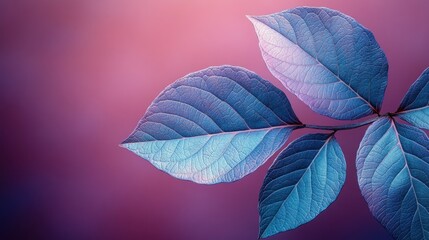 Colorful leaves stand out against a soft purple background during twilight hours