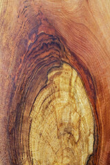 Natural patterns on a slice of polished wood displaying intricate grain details and warm tones from a close viewpoint in well-lit conditions