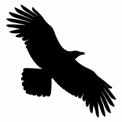 Silhouette of an eagle soaring through the air with open wings