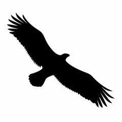 Black silhouette of a majestic eagle soaring high in the sky