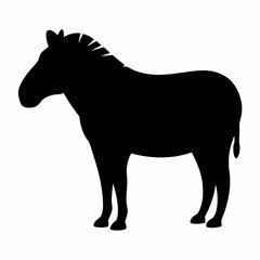 Silhouette of a standing zebra with short mane on a white background