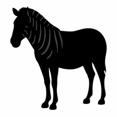 Simple black and white graphic illustration of a zebra standing still