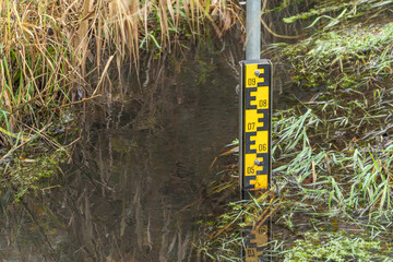 A yellow and black water level gauge stands in a calm stream. Reeds and grasses grow along the wet bank.