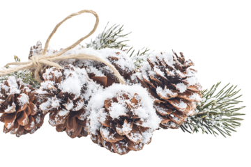 Natural pinecone dusted with artificial snow, tied with twine for Christmas decor isolated on transparent background