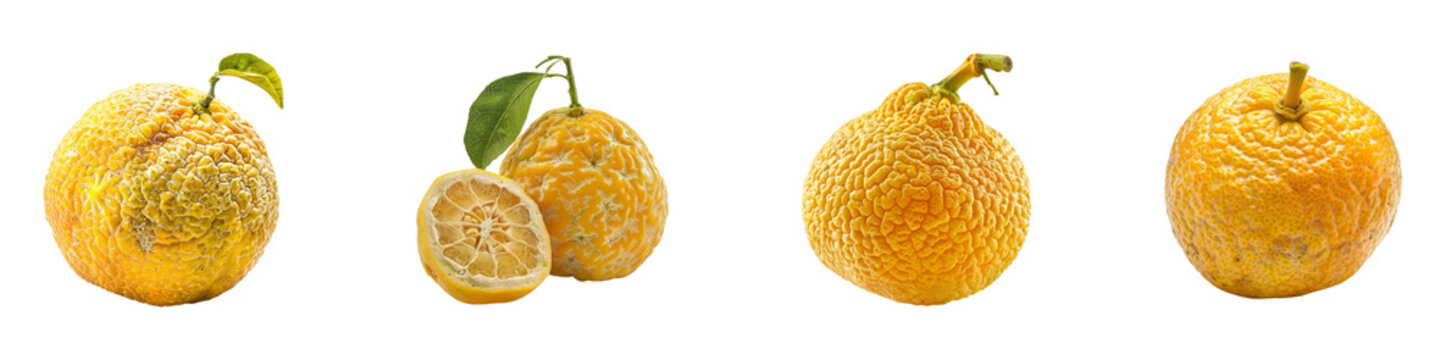 Display of several citrus fruits with bumpy wrinkled skin texture variations