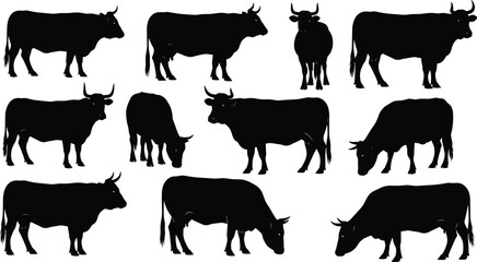 Elegant ribbon and bow banner silhouettes collection, decorative outline vector set for labels, invitations, gift wrapping, wedding, holiday celebration design projects