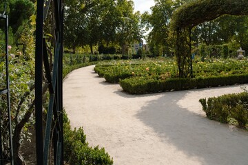 Beautiful rose garden featuring winding pathways and lush greenery in Madrid, Spain.