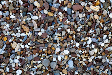 Colorful smooth pebbles on a beach, mixed stones in natural daylight forming a textured surface with varied shapes and tones.