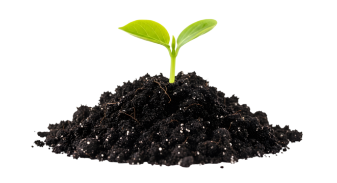 A small green seedling growing from a mound of dark soil, isolated on transparent background - Powered by Adobe