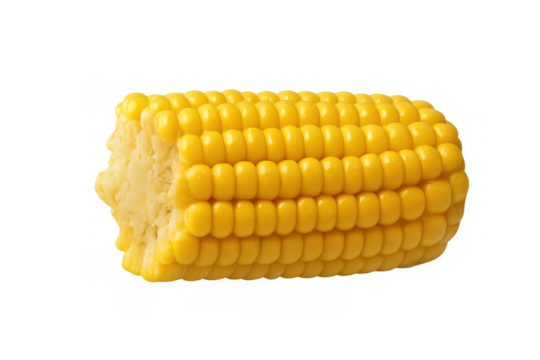 Cooked sweetcorn kernels detached from the cob, presenting a healthy vegetable snack ingredient, transparent background