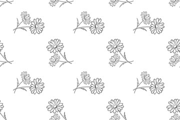 Fototapeta premium Seamless pattern of hand drawn vector outline isolated branches daisy flowers on a white background. Repeating pattern.