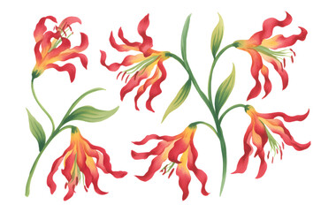 Scarlet red lilies painted in soft watercolor tones.
