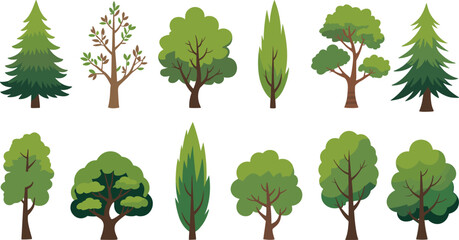 Stylized tree illustration set with diverse foliage and trunk designs, coniferous and broadleaf types, botanical nature graphics © Mst