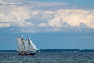Traditionssegelschiff auf der Eckernf&ouml;rder Bucht, Schleswig-Holstein, Deutschland