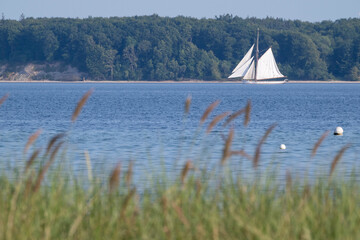 Traditionssegelschiff auf der Eckernf&ouml;rder Bucht, Schleswig-Holstein, Deutschland