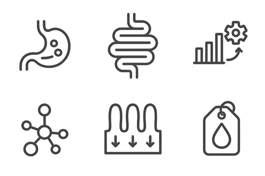Nutrition Science Icons. Line style icons of nutrition science: food digestion, digestive tract icon, enzyme breakdown chart,
