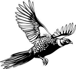 Flying Pheasant svg,Flying Pheasant Vector,pheasant