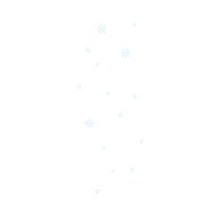 scattered snowflakes