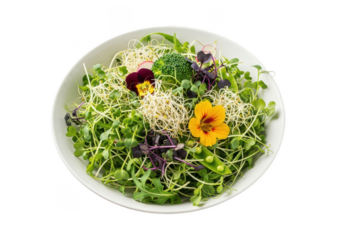 Overhead shot of a fresh salad with sprouts, edible flowers isolated on transparent background