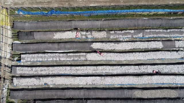 Aerial view of Traditional Fish Drying Method in Bangladesh.  Dry Fish Worker Bangladesh. Drying fish under sun in Bamboo Rack. Dry fish is locally called &lsquo;Shutki&rsquo; in Bangladesh