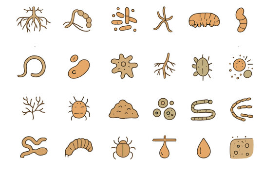 Soil microbes and decomposer organism icons in brown gradient