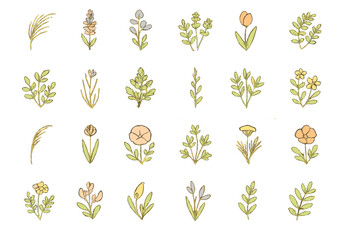 Hand-drawn botanical flower and leaf icons on bronze gradient