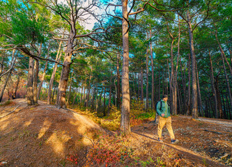 hiker in the wild forest