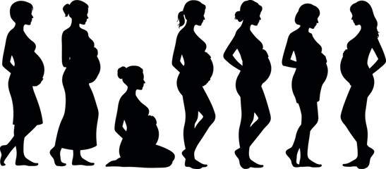 Pregnancy Stages Silhouette Collection Depicting the Journey of Motherhood