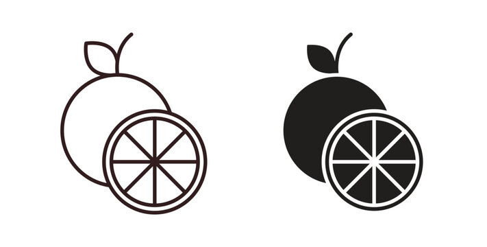 Grapefruit icon concept. Glyph vector illustration isolated. Simple solid style.