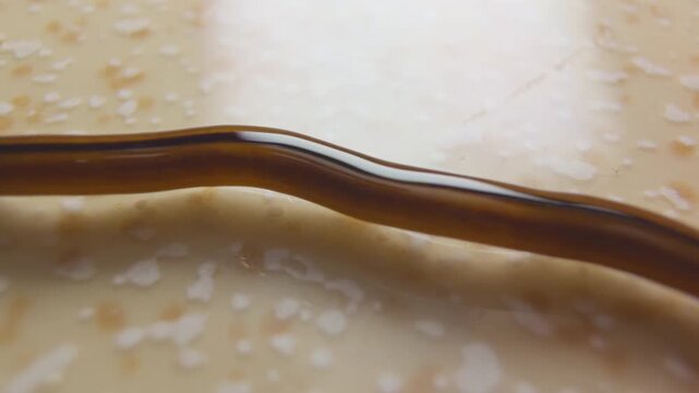 Macro Side Angle of Hammerhead Flatworm Gliding on Light Floor Surface Showing Smooth Body and Distinct Head, Exotic Worm Biology Concept