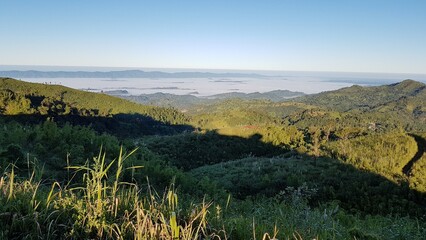 Breathtaking sunrise over misty mountains and lush green forest canopy