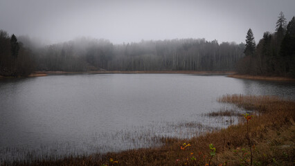 Fototapeta premium Foggy Lake in Autumn Forest – Tranquil Morning Landscape with Mist and Reflection