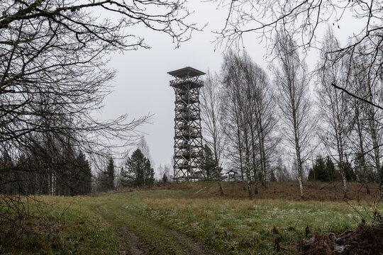 Wooden Observation Tower in Misty Winter Landscape with Birch Trees and Frosted Meadow - Powered by Adobe