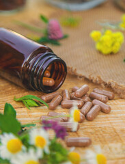 Supplementi and medicinal herbs and flowers. Selective focus.