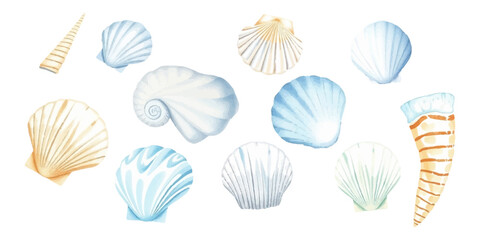 Watercolor seashells of various shapes and sizes, soft pastel tones, delicate texture, hand painted, natural marine details, isolated on white background, vector