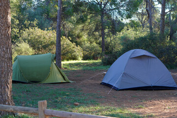 adventure and outdoor activities. two tents in a clearing in a pine forest