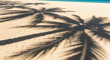 Palm tree shadows cast on clean sand, bright sunny beach ambiance, minimalist tropical composition
