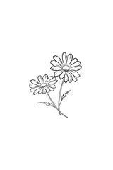 Sketch illustration twigs flowers chamomile outline vector hand drawn on white background