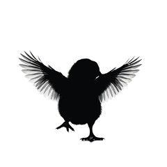 Small bird spreading wings silhouette