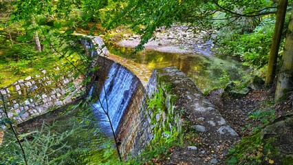 Tama w górach  © WalDec