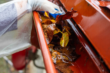 A man pulls a large pile of wet autumn leaves from a clogged gutter during a rainstorm. Gutter...