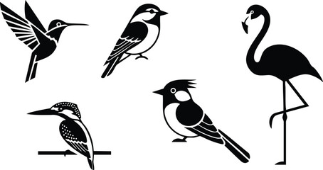 Fototapeta premium Silhouette vector set of five different bird species including hummingbird, sparrow, flamingo, kingfisher, and crested bird in black and white 