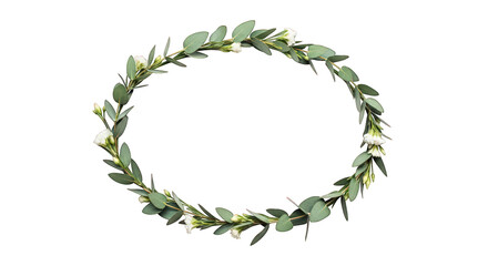 Obraz premium Delicate flower crown with eucalyptus leaves and white blossoms isolated on a transparent background