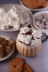 a cozy arrangement featuring a hot beverage topped with marshmallows and chocolate sprinkles, surrounded by assorted cookies and sweets, creating a warm and inviting winter atmosphere, smooth, soft