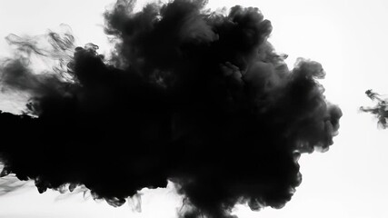 Snowboarder and horseback rider soar through smoke filled winter landscape, capturing essence of adventure and freedom as camera pans across snowy wonderland, combining thrill of flight with.